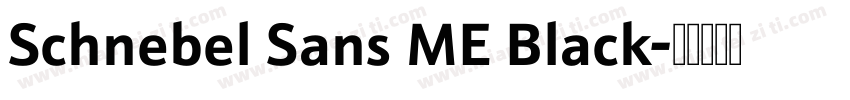 Schnebel Sans ME Black字体转换